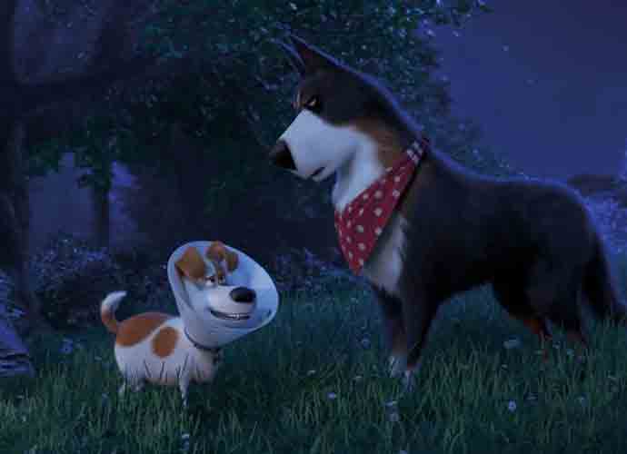 ‘The Secret Life of Pets 2’ Blu-Ray Review: Not Up To ‘Minions’ Standard
