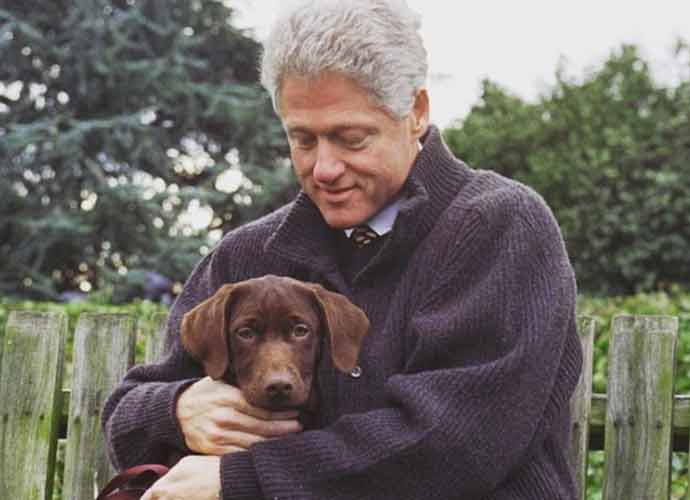 National Puppy Day 2020: Jessica Chastain, Bill Clinton & Other Celebs Celebrate With Their Favorite Pets!