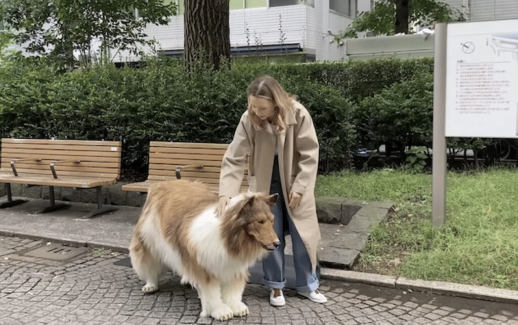 Toco Ueda, Who Spent $16,000 To Transform Into Dog, Takes First Steps Publicly – And Goes Viral