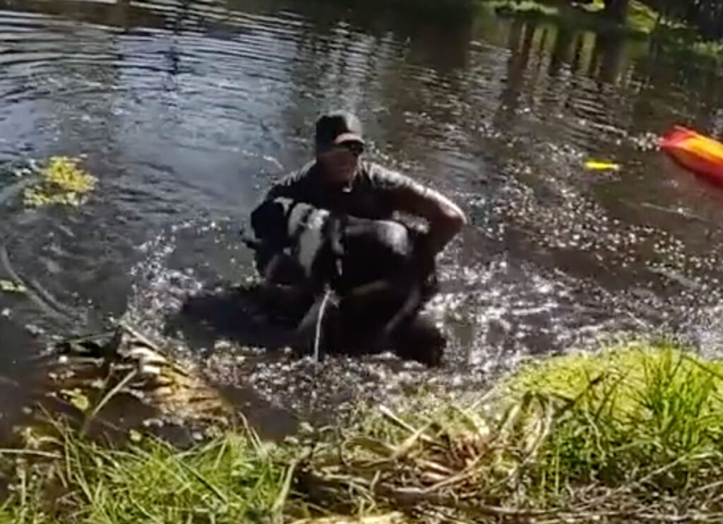 VIDEO: Deputy Rescues Dog Stuck In Canal