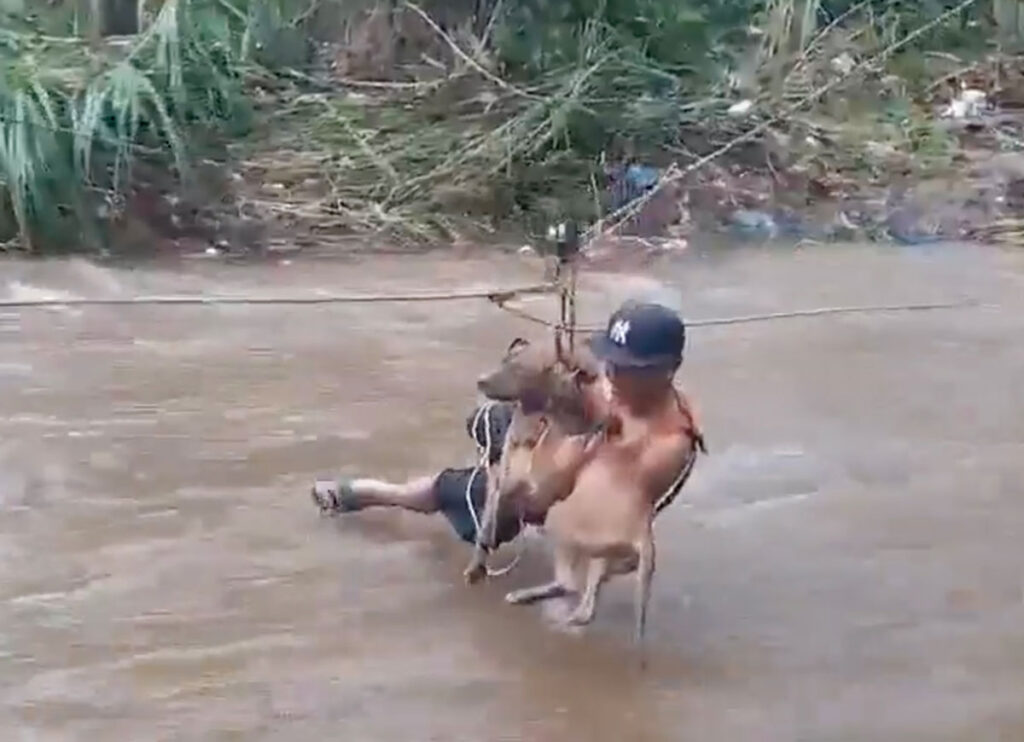 VIDEO: Firefighters Use Zip Line To Help Dog & Its Owner Across A Swollen River