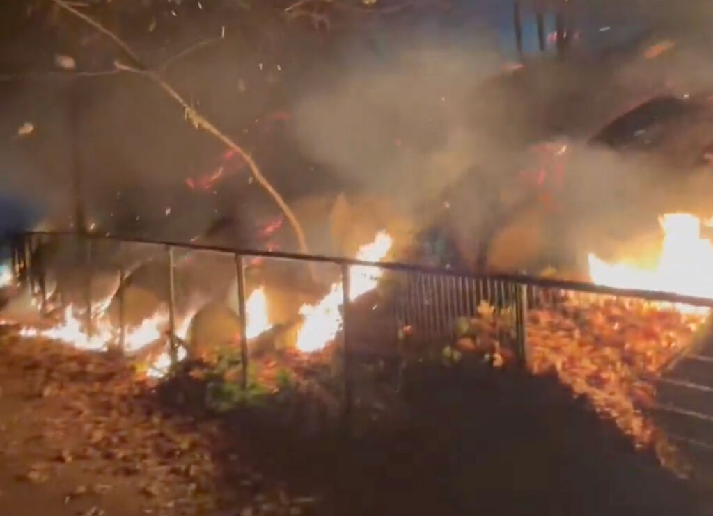 VIDEO: Brush Fire Breaks Out in Brooklyn’s Prospect Park, Burning 2 Acres