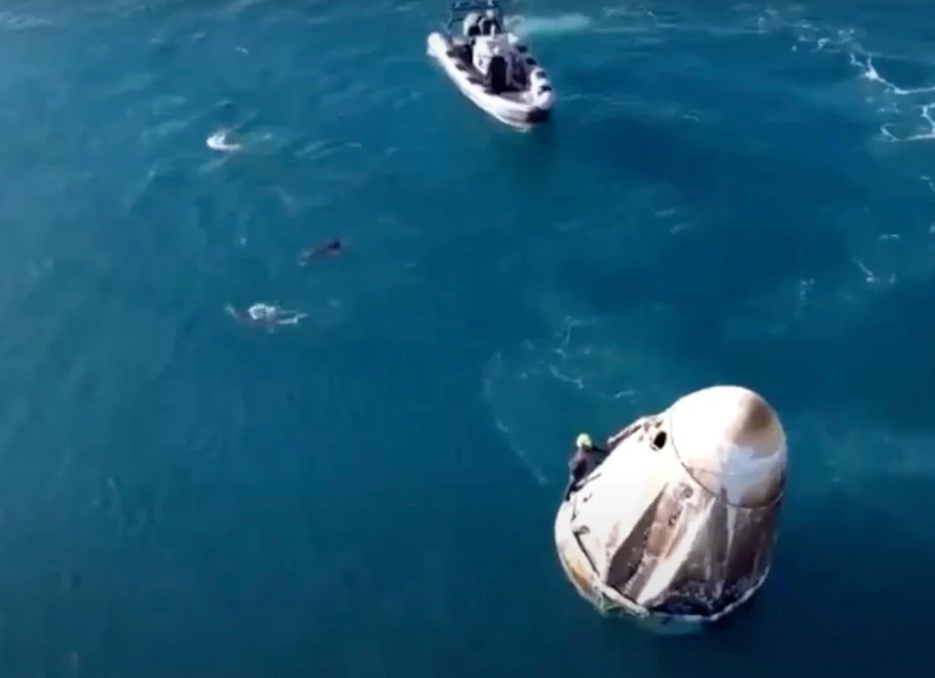 VIDEO: Dolphins Greet Stranded NASA Astronauts As They Finally Splash Down Back On Earth