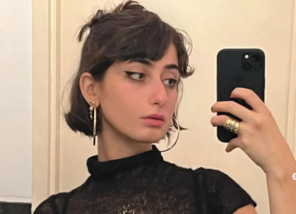 NYC Democratic Mayoral Nominee Zohran Mamdani Met His Artist Wife, Rama Duwaji, On Hinge