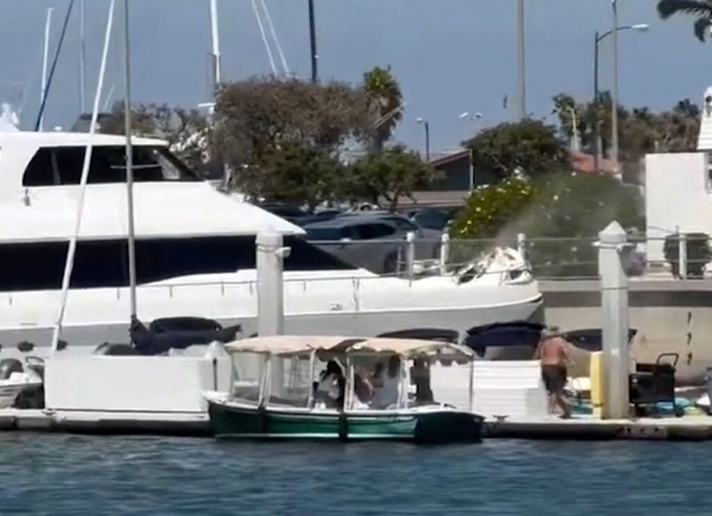VIDEO: Yacht Slams Into Seawall Following Mechanical Failure In Marina Del Rey