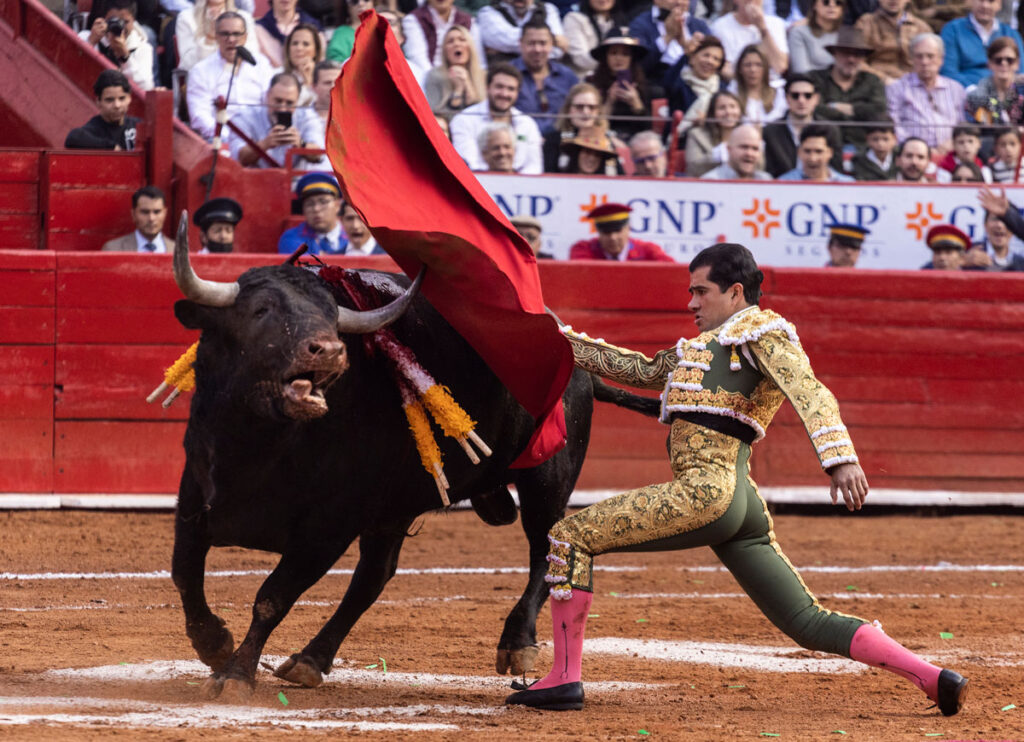 Bullfighter Gored To Death In Front Of Horrified Audience