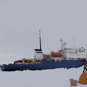 Ship Stuck In Antarctic Ice Evacuated: All 52 Passengers Rescued