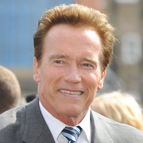 Arnold Schwarzenegger Admits To Second Affair With Brigitte Nielsen