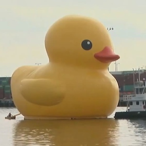 61-Foot-Tall Rubber Duck Comes To LA
