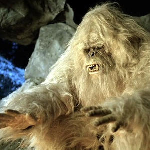 Yeti Mystery Could Soon Be Solved